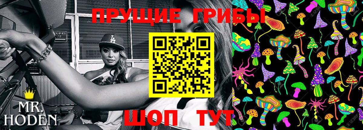 Псилоцибиновые грибы ЛСД Богородск