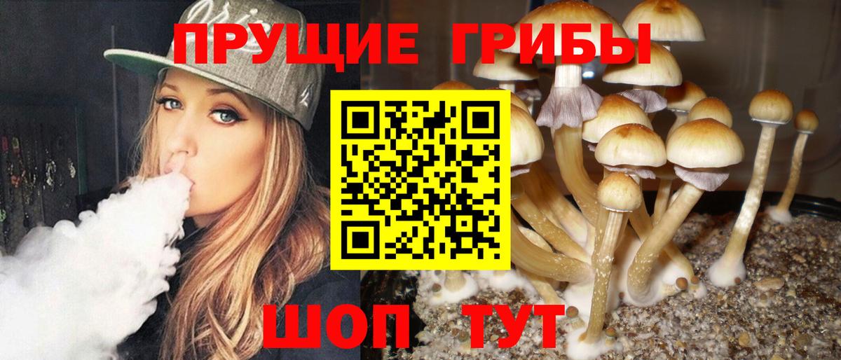 Богородск  Псилоцибиновые грибы GOLDEN TEACHER  Вход с VPN 